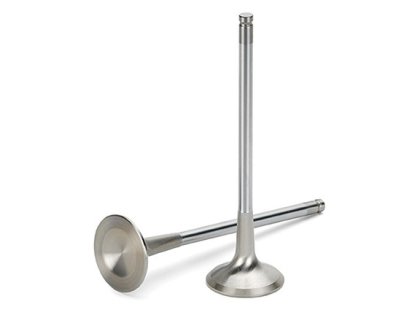 GM Chevy 2.2 2.2L 2.4 2.4L Ecotec DOHC Intake Exhaust Valve set of 16